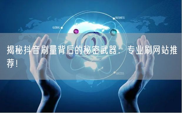 揭秘抖音刷量背后的秘密武器：专业刷网站推荐！